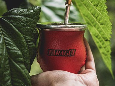 Yerba Mate Taragüi - Inside Yerba Mate: nutrition facts and how they affect your body